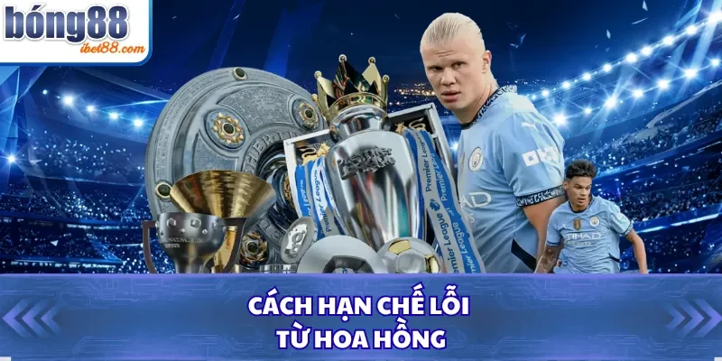 Cách hạn chế lỗi từ hoa hồng