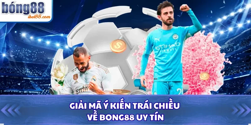 Giải mã ý kiến trái chiều về Bong88 uy tín