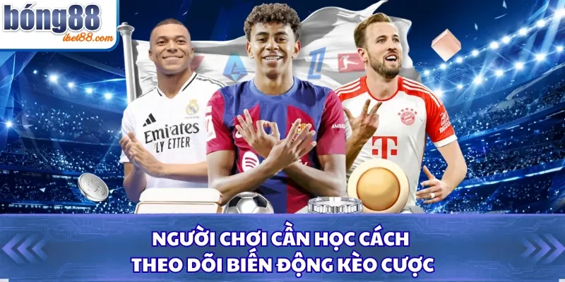Người chơi cần học cách theo dõi biến động kèo cược
