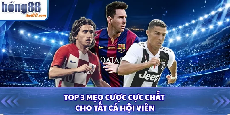 TOP 3 mẹo cược cực chất cho tất cả hội viên